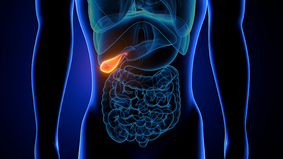 Vesicule - Clinique chirurgie digestive royan